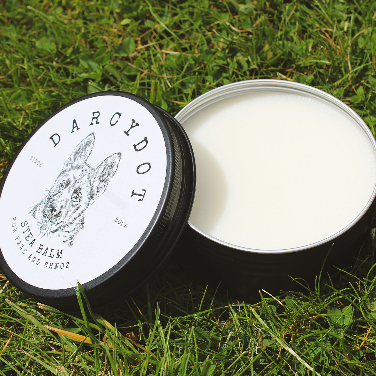 Stea Balm for Paws & Shnoz