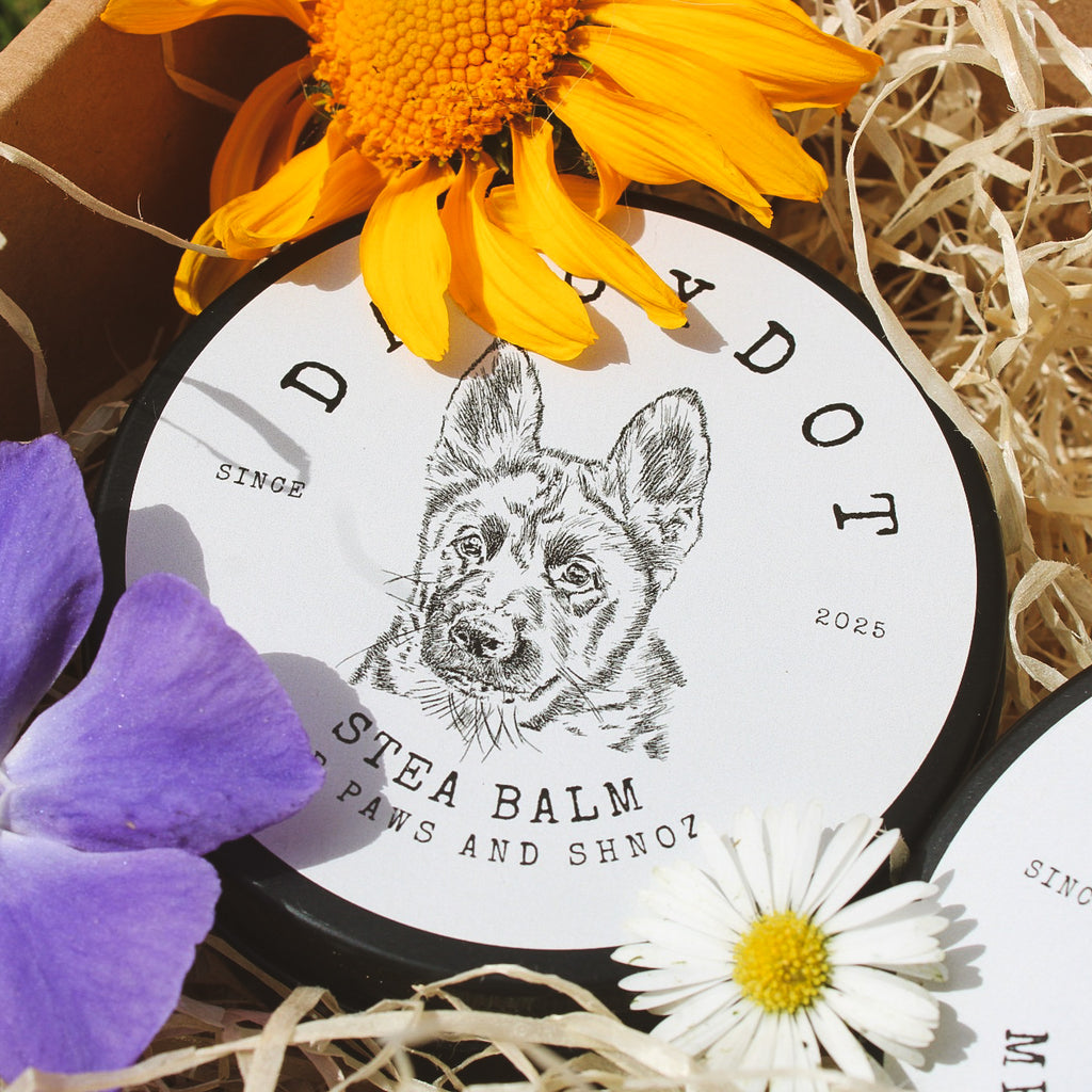 Stea Balm for Paws & Shnoz