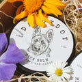 Stea Balm for Paws & Shnoz